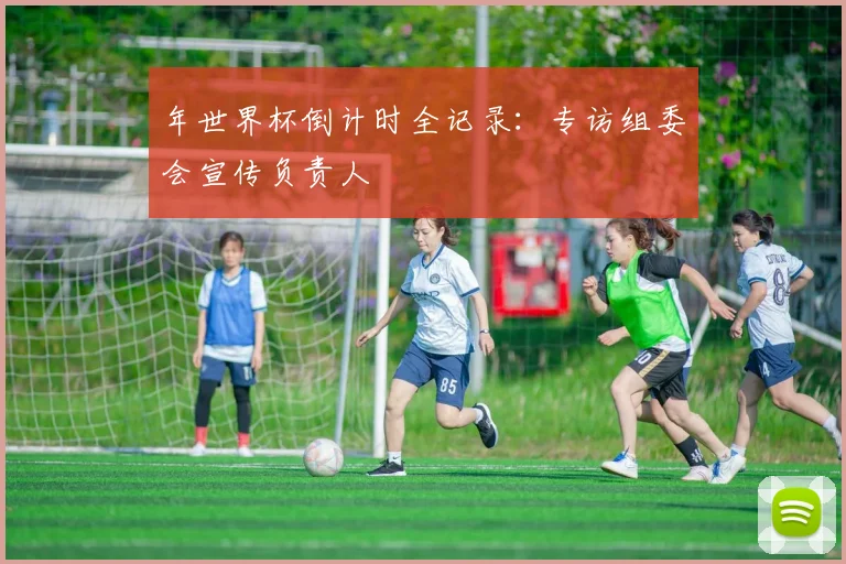 年世界杯倒计时全记录：专访组委会宣传负责人